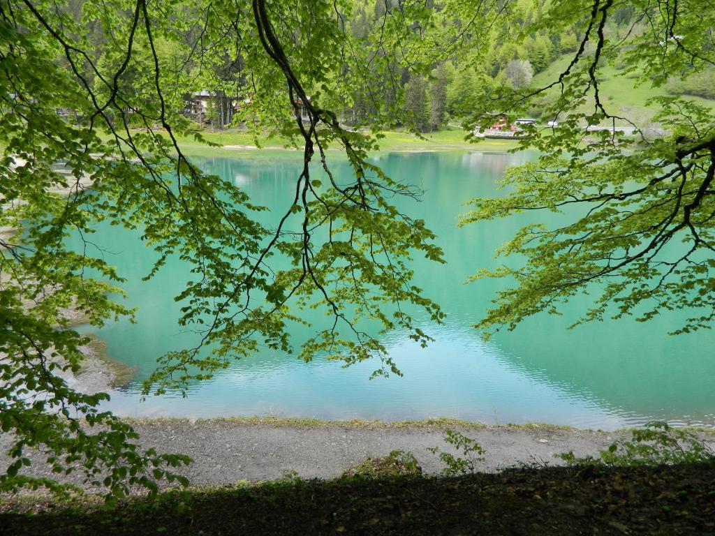 Logis Hotel Les Sapins Монрьон Экстерьер фото