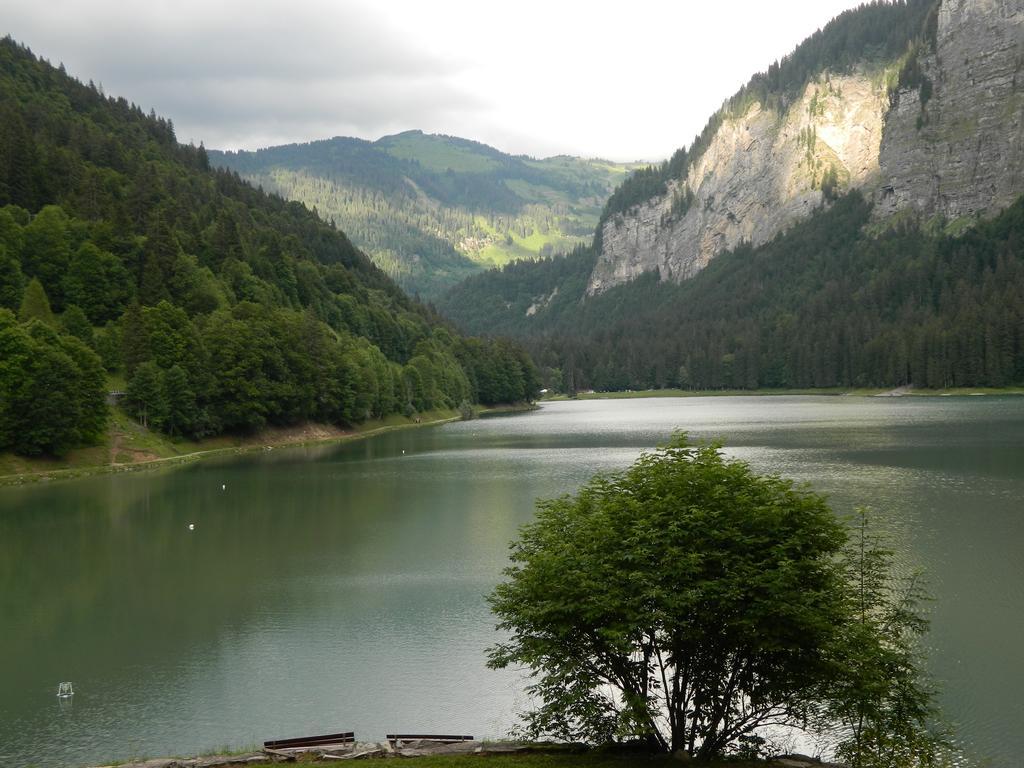 Logis Hotel Les Sapins Монрьон Экстерьер фото